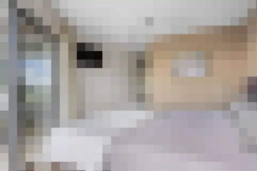 Koolwitje 54 Sneek thumbnail 26