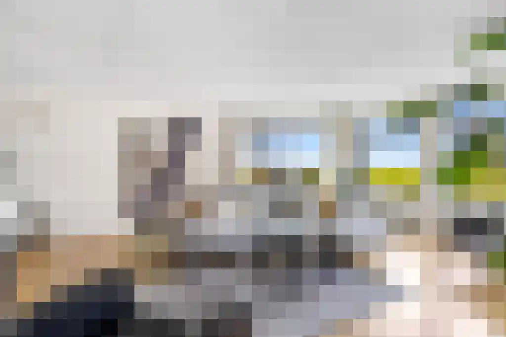 Koolwitje 54 Sneek thumbnail 4