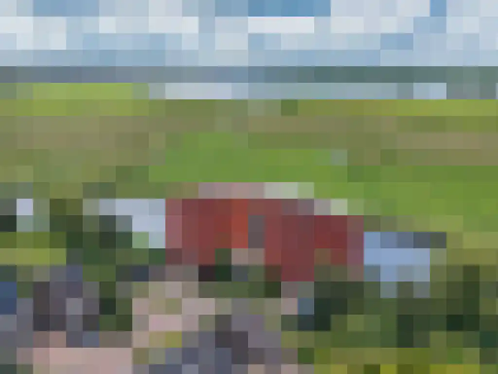 Koolwitje 54 Sneek thumbnail 42