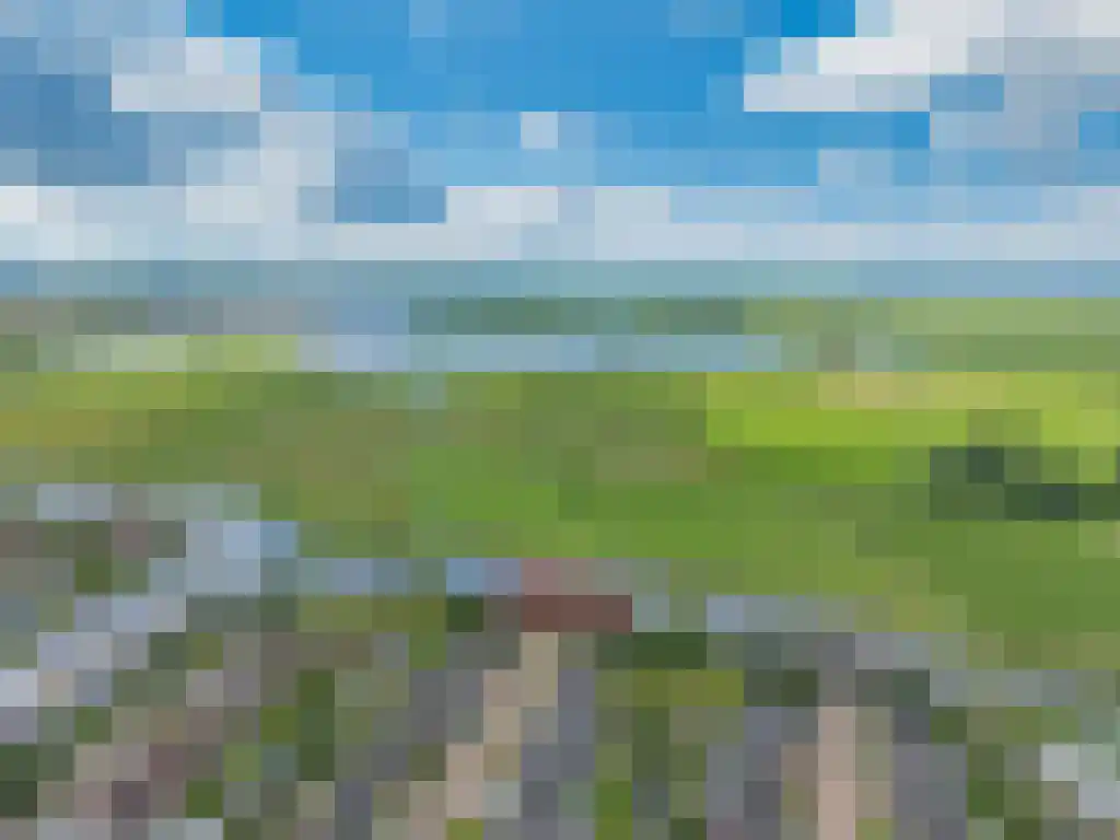Koolwitje 54 Sneek thumbnail 43