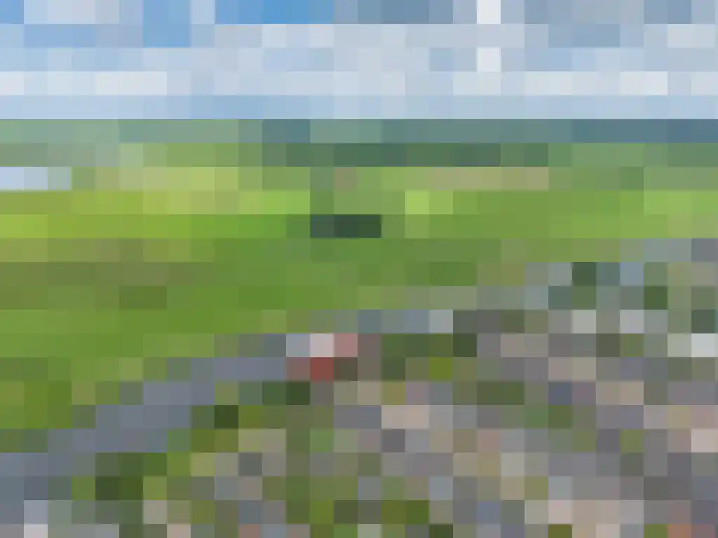 Koolwitje 54 Sneek thumbnail 44