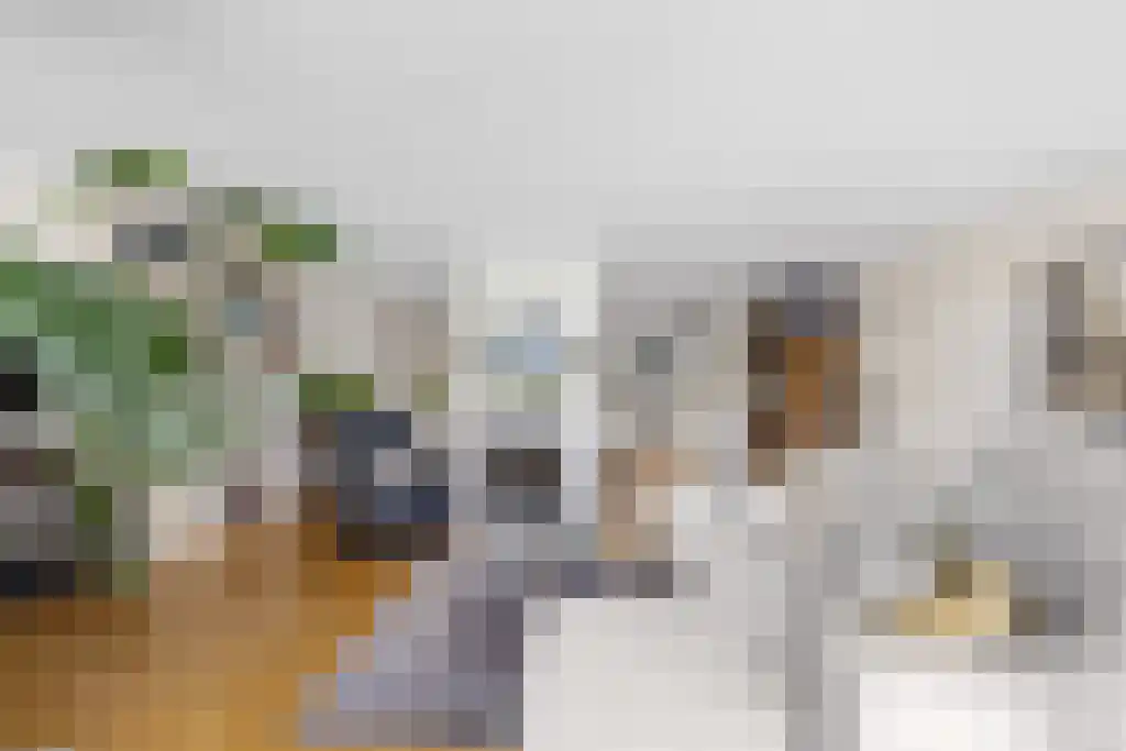 Koolwitje 54 Sneek thumbnail 7