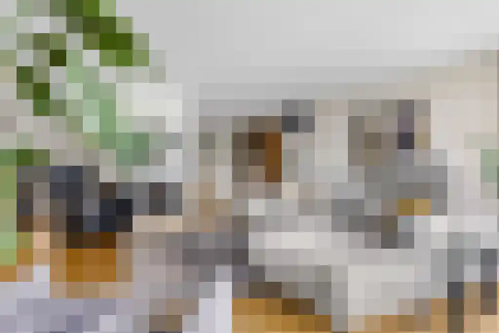 Koolwitje 54 Sneek thumbnail 8