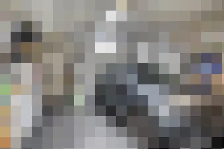 Koolwitje 6 Oosterhout thumbnail 13