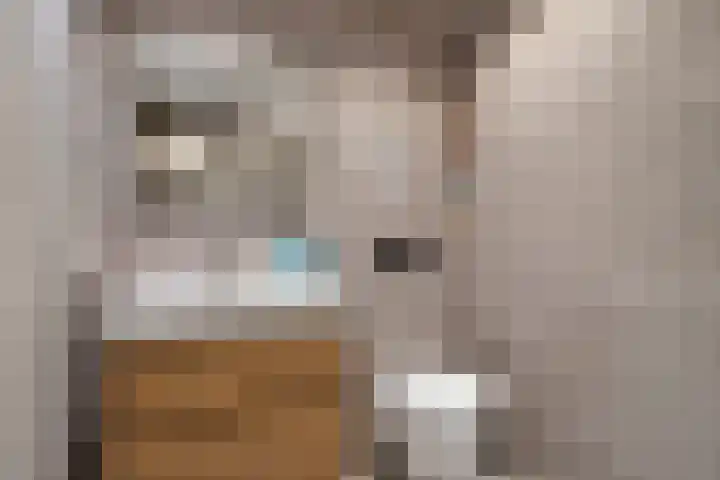Koolwitje 6 Oosterhout thumbnail 19