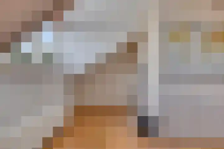 Koolwitje 6 Oosterhout thumbnail 22