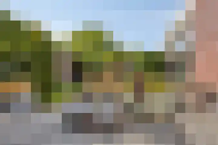 Koolwitje 6 Oosterhout thumbnail 23