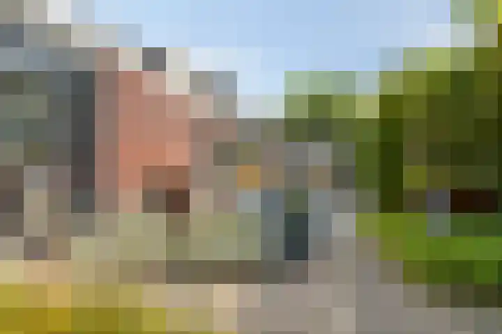 Koolwitje 6 Oosterhout thumbnail 24