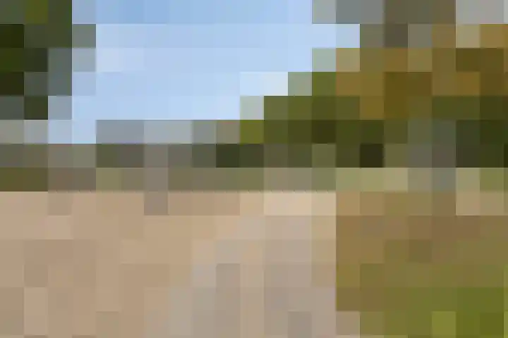 Koolwitje 6 Oosterhout thumbnail 26