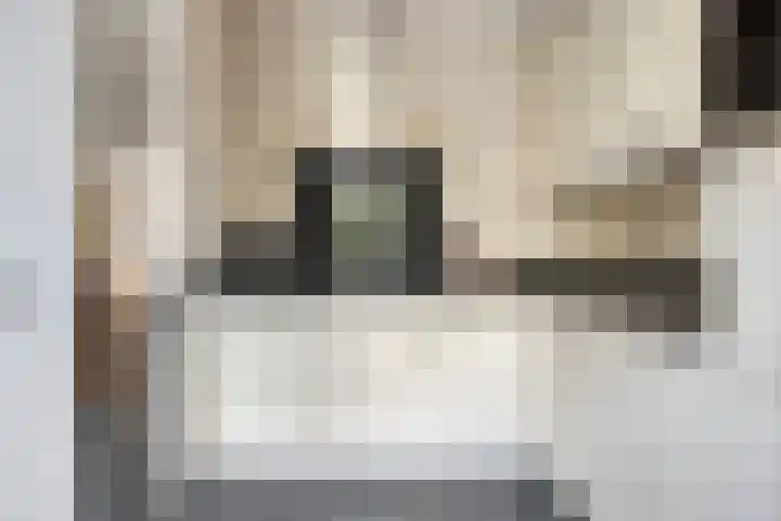 Koolwitje 6 Oosterhout thumbnail 4