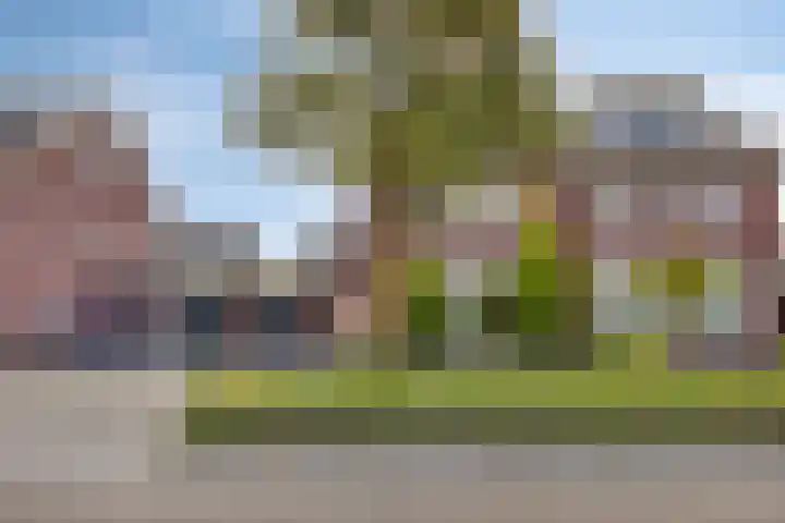 Koolwitje 6 Oosterhout thumbnail 5