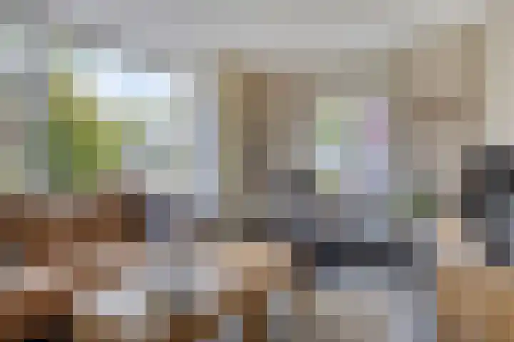 Koolwitje 6 Oosterhout thumbnail 8