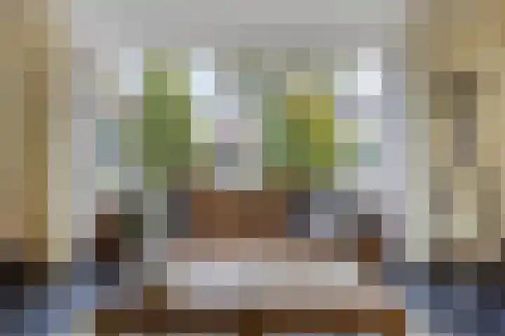 Koolwitje 6 Oosterhout thumbnail 9