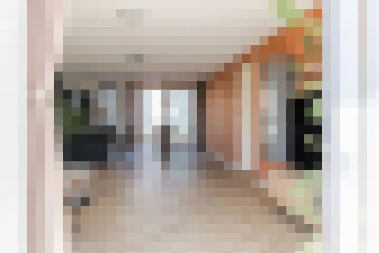 Koolwitjelaan 143 Den Haag thumbnail 11