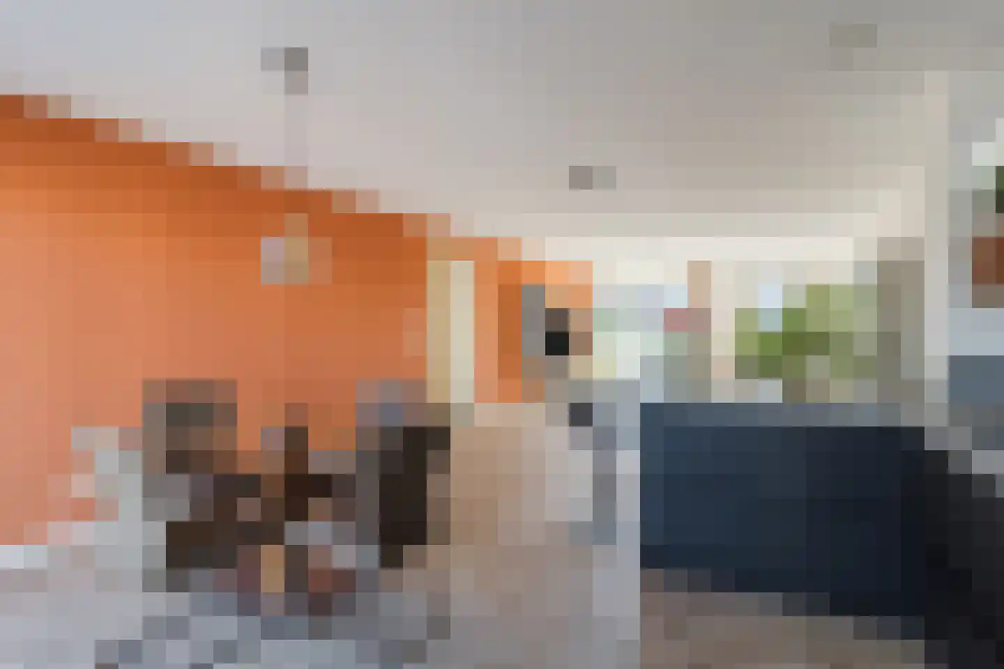 Koolwitjelaan 143 Den Haag thumbnail 16