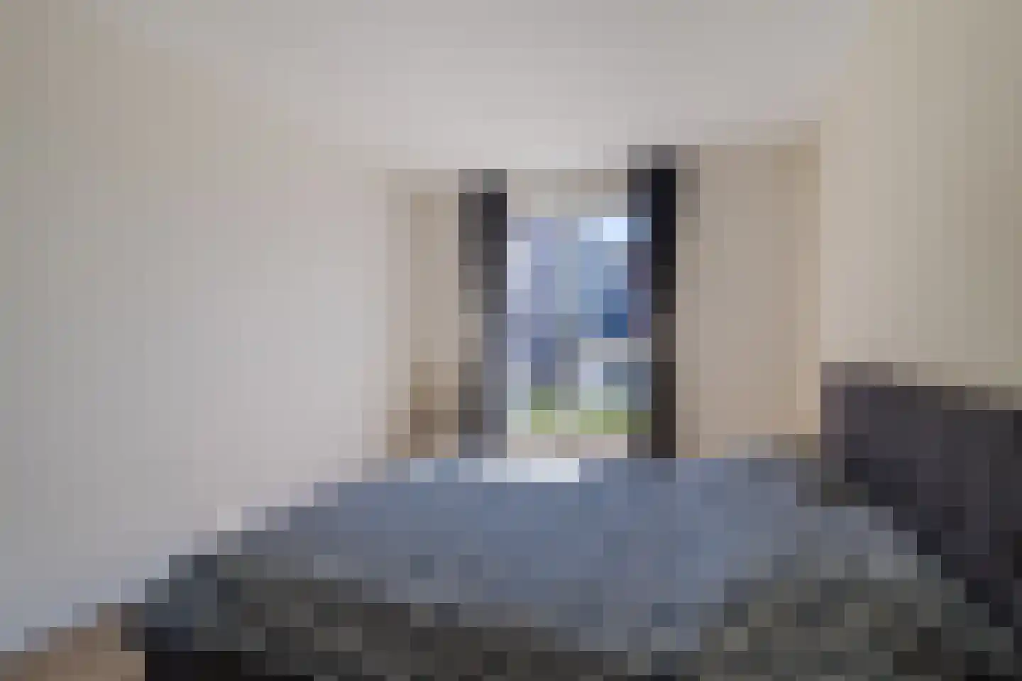 Koolwitjelaan 143 Den Haag thumbnail 24