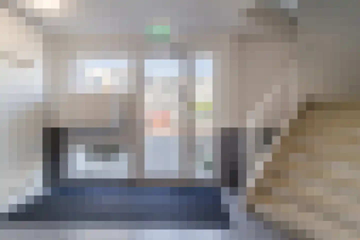 Koolwitjelaan 143 Den Haag thumbnail 48
