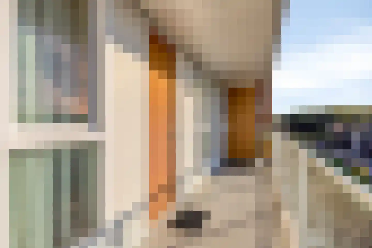 Koolwitjelaan 153 Den Haag thumbnail 19