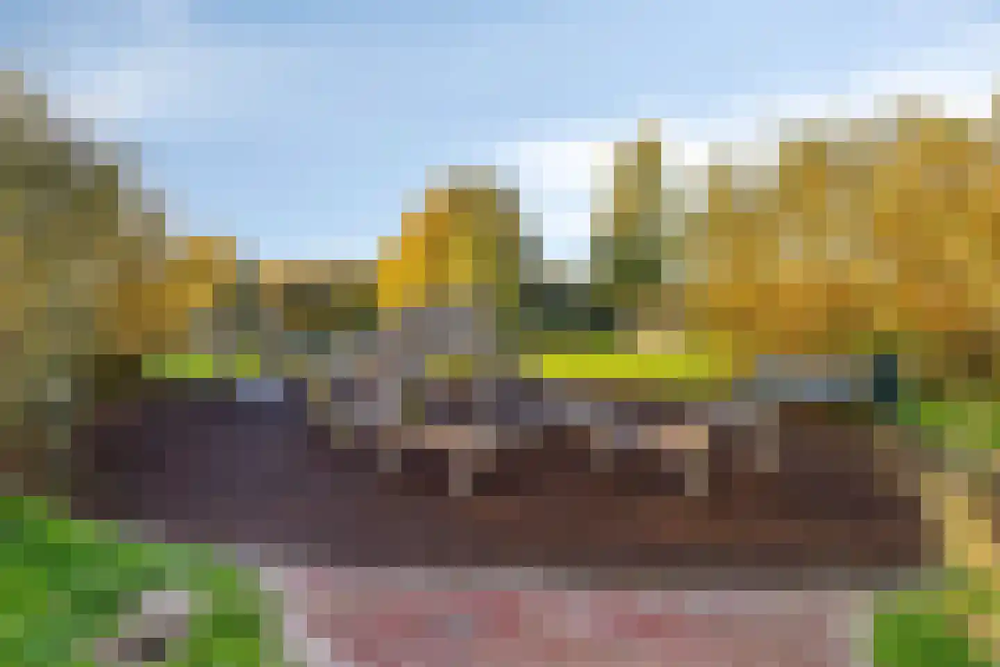 Koolwitjelaan 153 Den Haag thumbnail 27