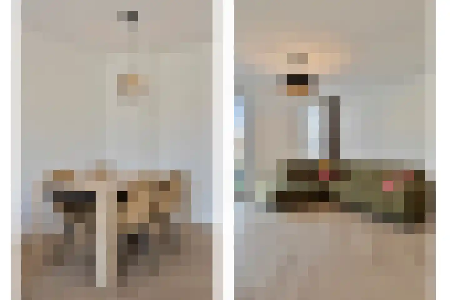 Koolwitjelaan 153 Den Haag thumbnail 9