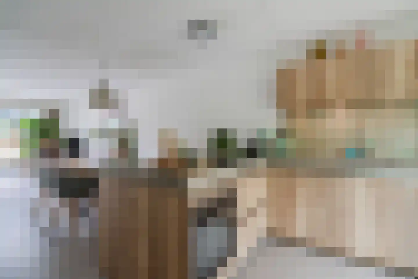 Koolwitjeshof 47 Utrecht thumbnail 10