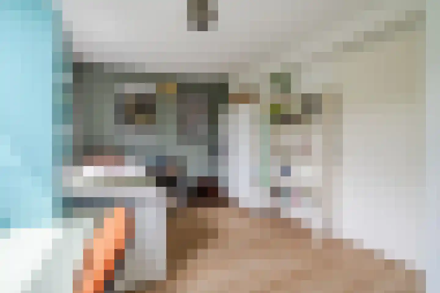 Koolwitjeshof 47 Utrecht thumbnail 30