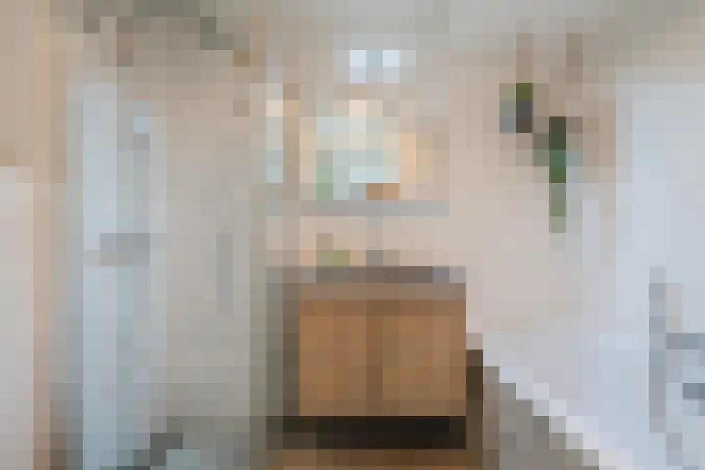 Koolwitjeshof 47 Utrecht thumbnail 31