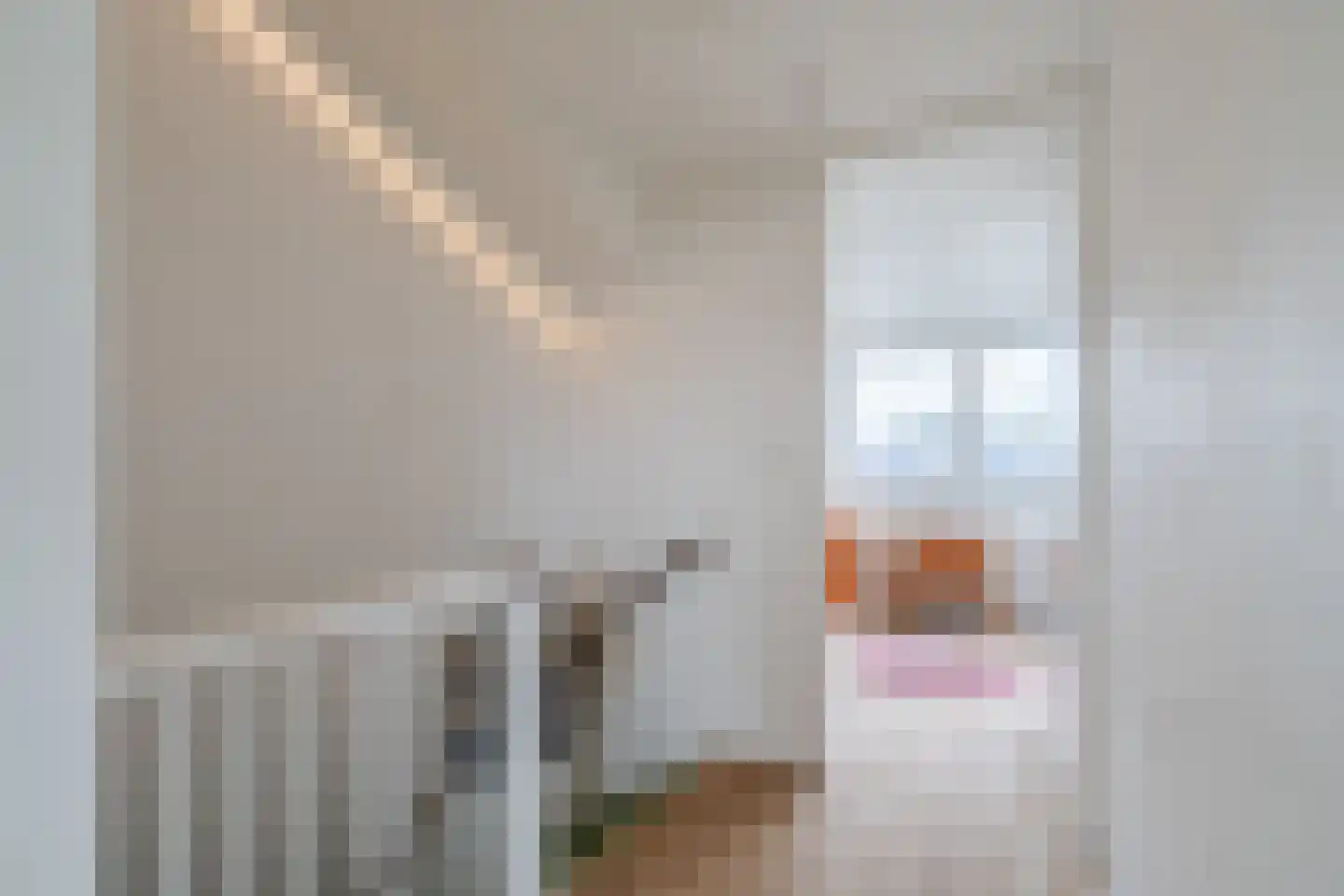 Koolwitjeshof 47 Utrecht thumbnail 38