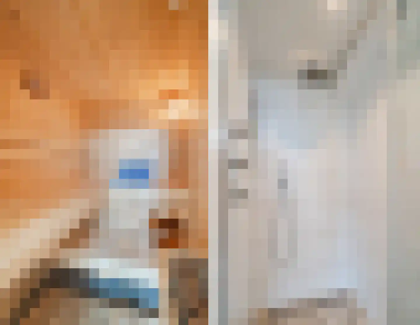 Koolwitjeshof 47 Utrecht thumbnail 43