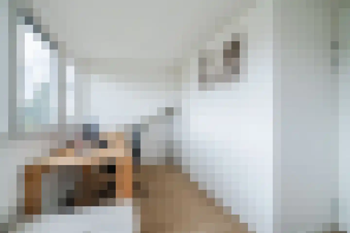 Koolwitjeshof 47 Utrecht thumbnail 48