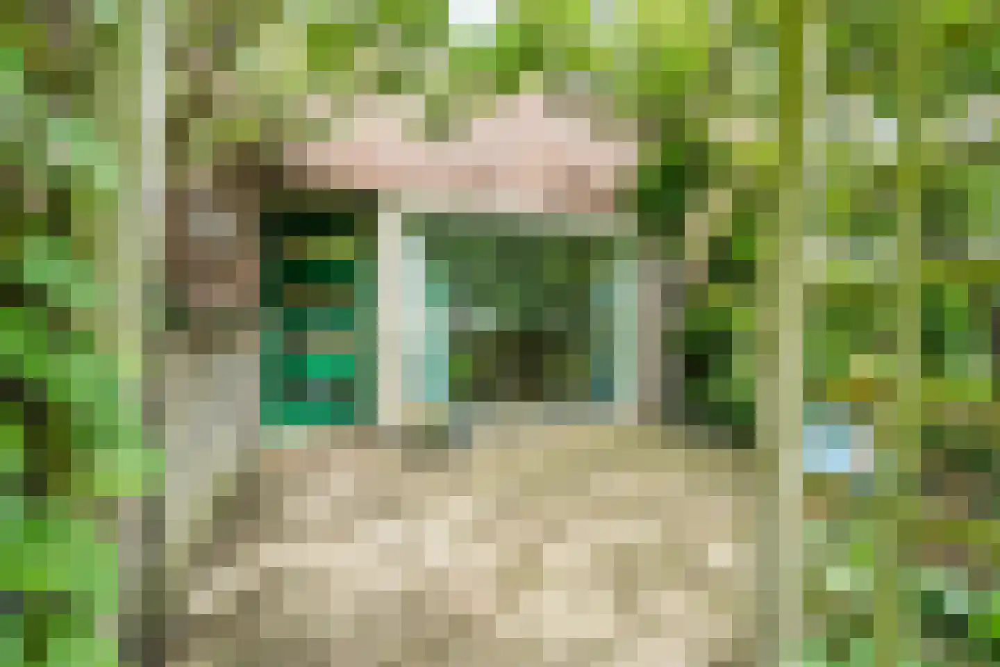Koolwitjeshof 47 Utrecht thumbnail 5