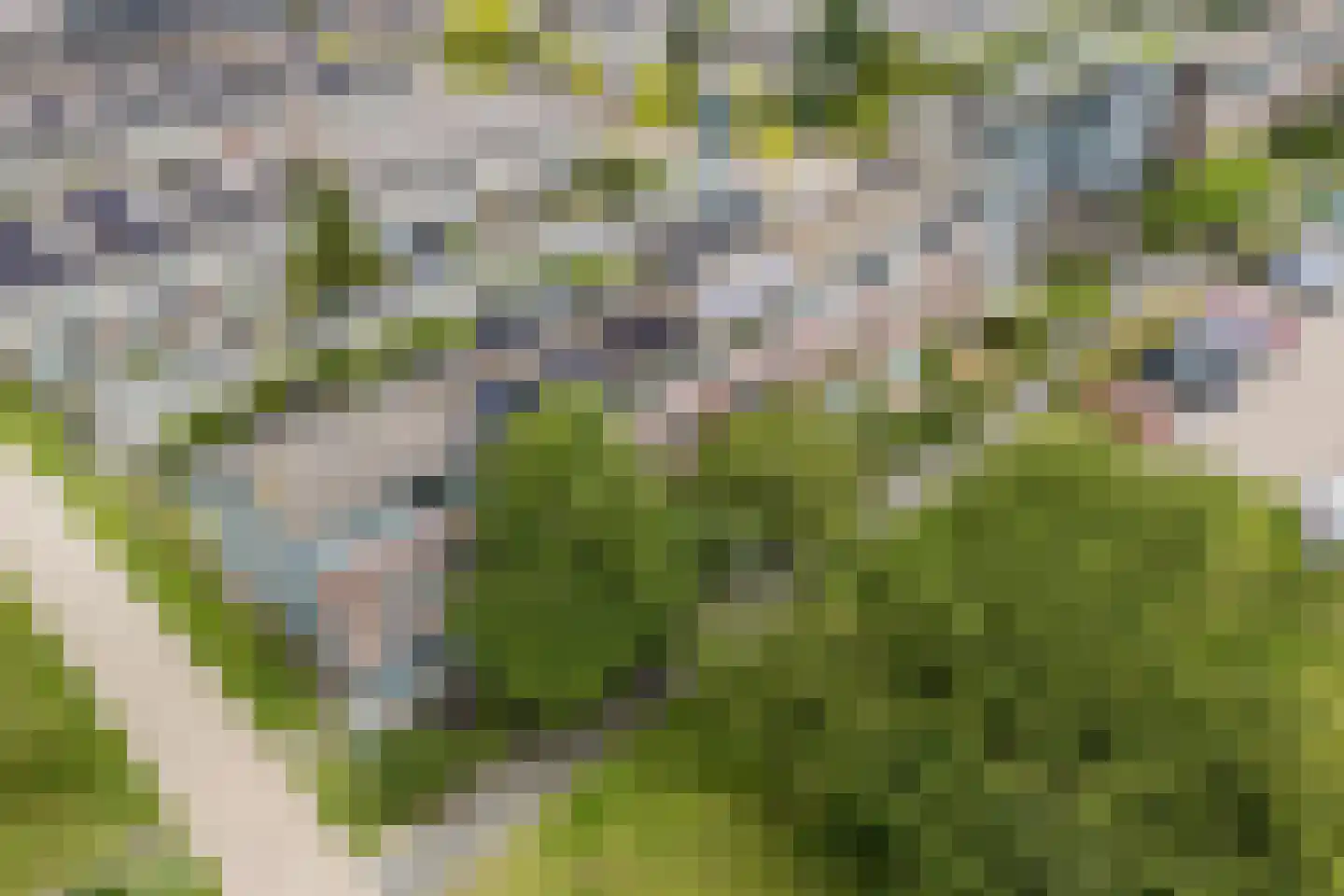 Koolwitjeshof 47 Utrecht thumbnail 51