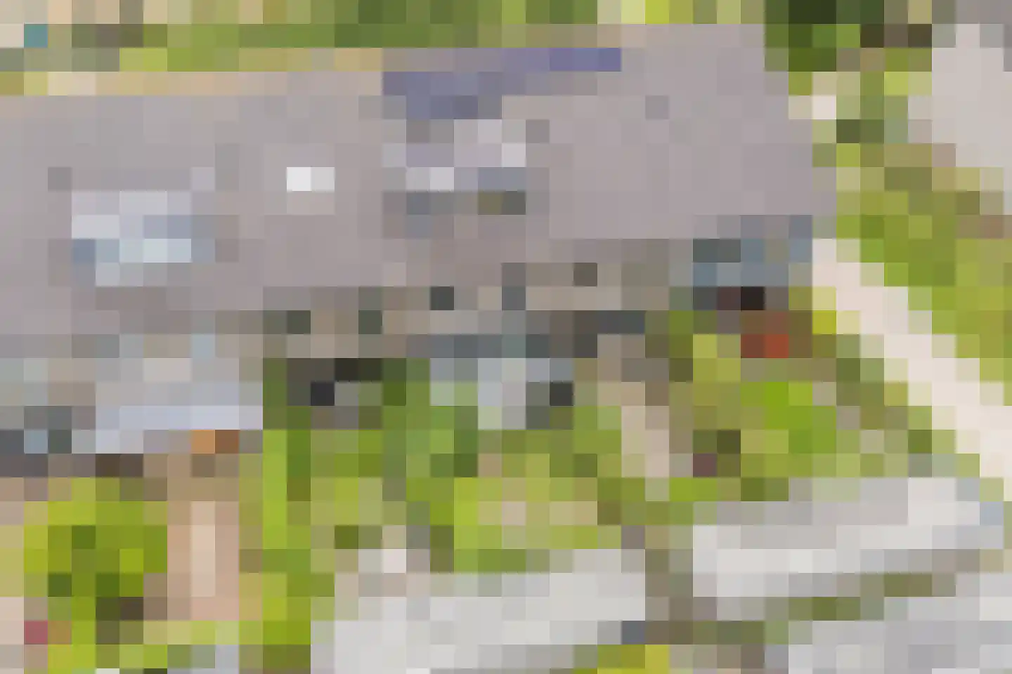 Koolwitjeshof 47 Utrecht thumbnail 52
