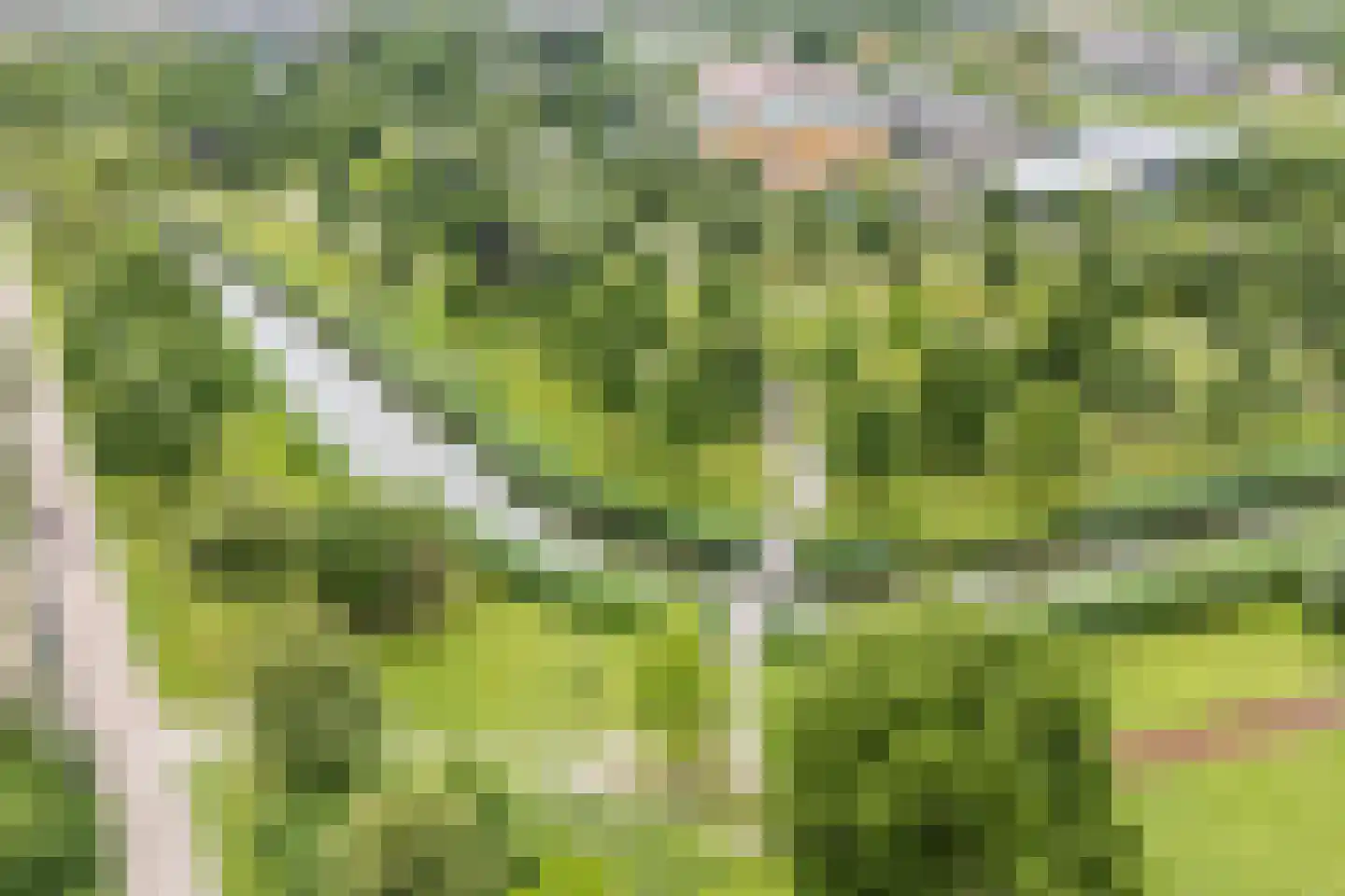 Koolwitjeshof 47 Utrecht thumbnail 54