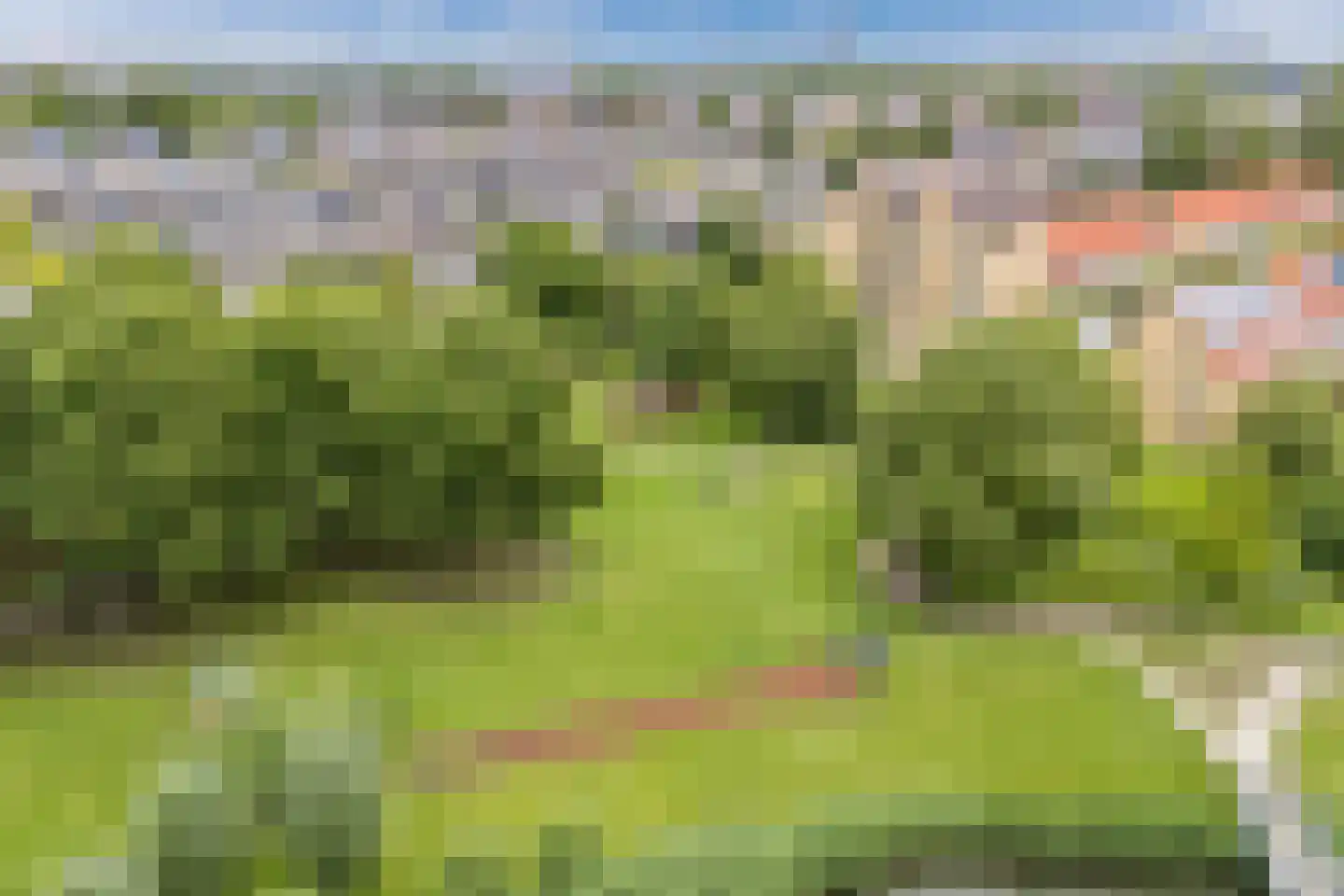 Koolwitjeshof 47 Utrecht thumbnail 59