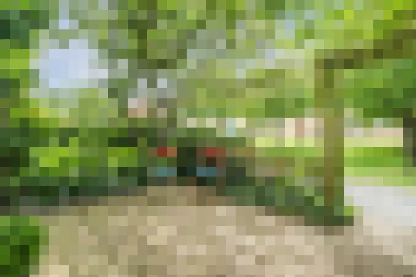 Koolwitjeshof 47 Utrecht thumbnail 6