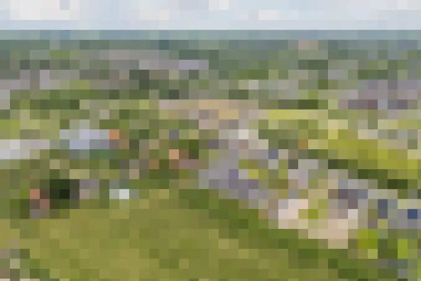Koolwitjeshof 47 Utrecht thumbnail 62