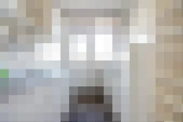 Koolwitjeshof 5 Nijmegen thumbnail 11