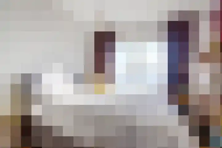 Koolwitjeshof 5 Nijmegen thumbnail 16