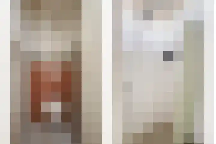 Koolwitjeshof 5 Nijmegen thumbnail 23