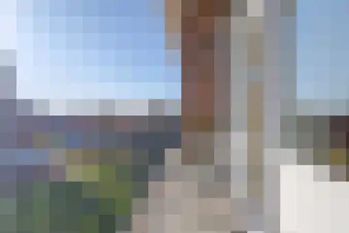 Koolwitjeshof 5 Nijmegen thumbnail 26