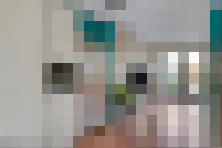 Koolwitjeslaan 39 Utrecht thumbnail 14