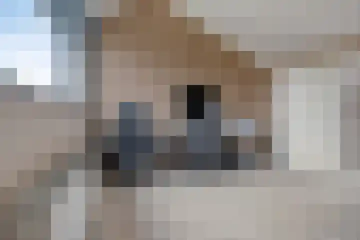 Koolwitjeslaan 39 Utrecht thumbnail 28