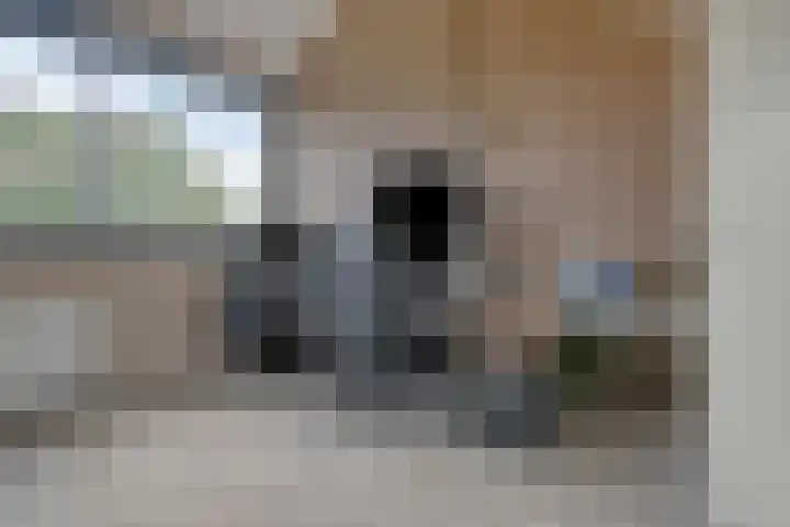 Koolwitjeslaan 39 Utrecht thumbnail 29