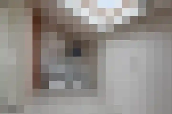 Koolwitjeslaan 39 Utrecht thumbnail 31