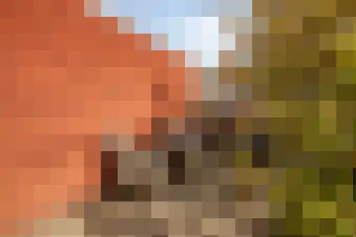 Koolwitjeslaan 39 Utrecht thumbnail 34