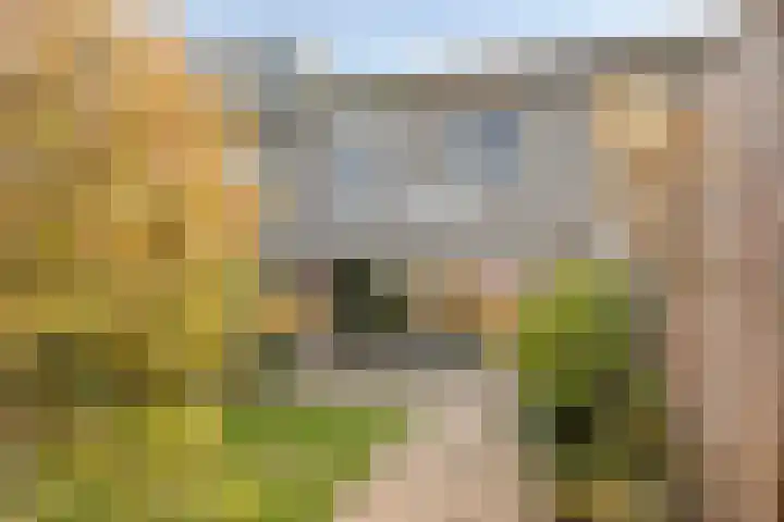 Koolwitjeslaan 39 Utrecht thumbnail 35