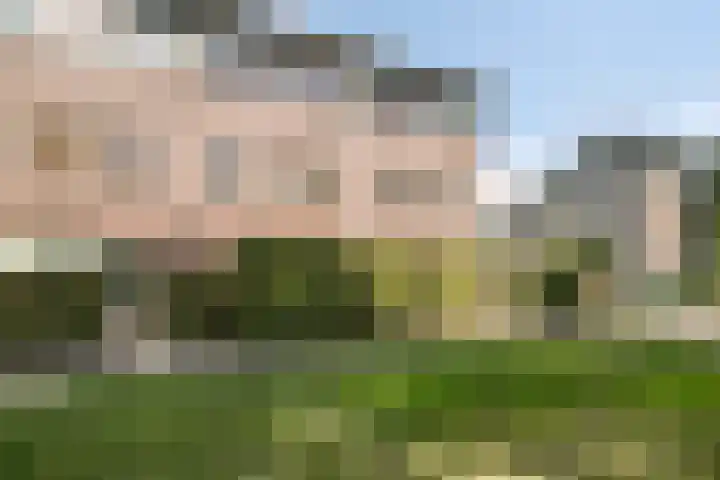 Koolwitjeslaan 39 Utrecht thumbnail 37