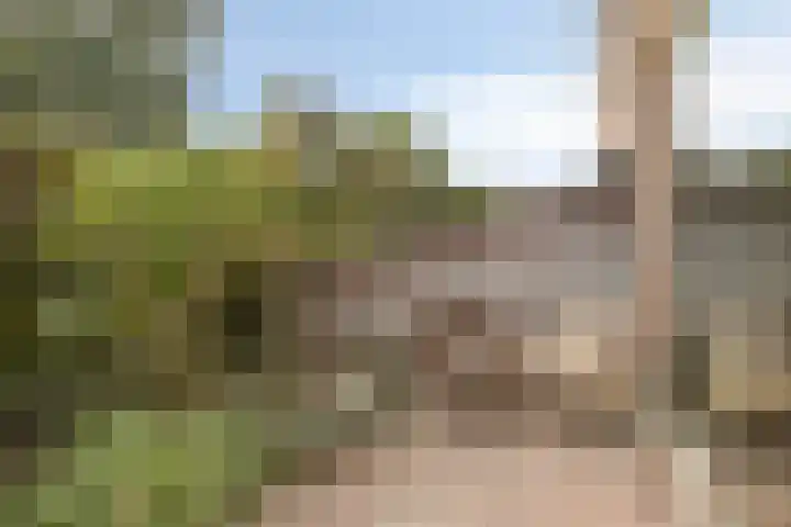 Koolwitjeslaan 39 Utrecht thumbnail 38