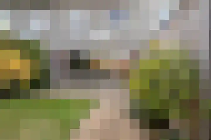 Koolwitjeslaan 39 Utrecht thumbnail 4